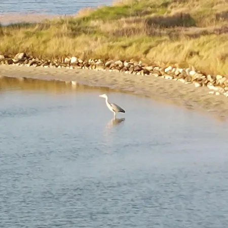 Charme De La Blancharderie By Interhome Villa Barbâtre