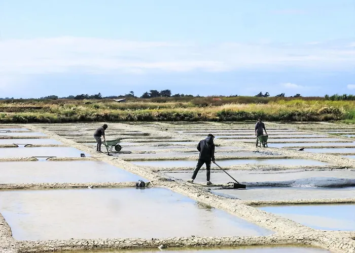 Charme De La Blancharderie By Interhome فيلة