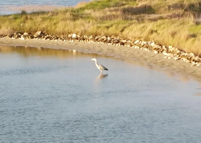 Charme De La Blancharderie By Interhome فيلة بارْباتْرْ